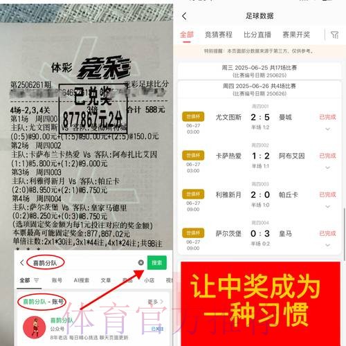 深入探讨世界杯下注平台的安全性分析